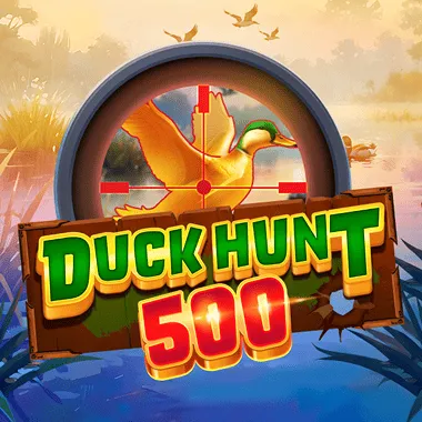 Duck Hunt 500
