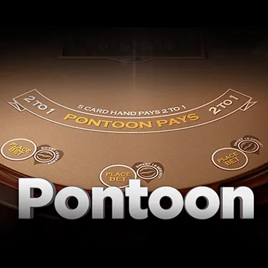 Pontoon 21